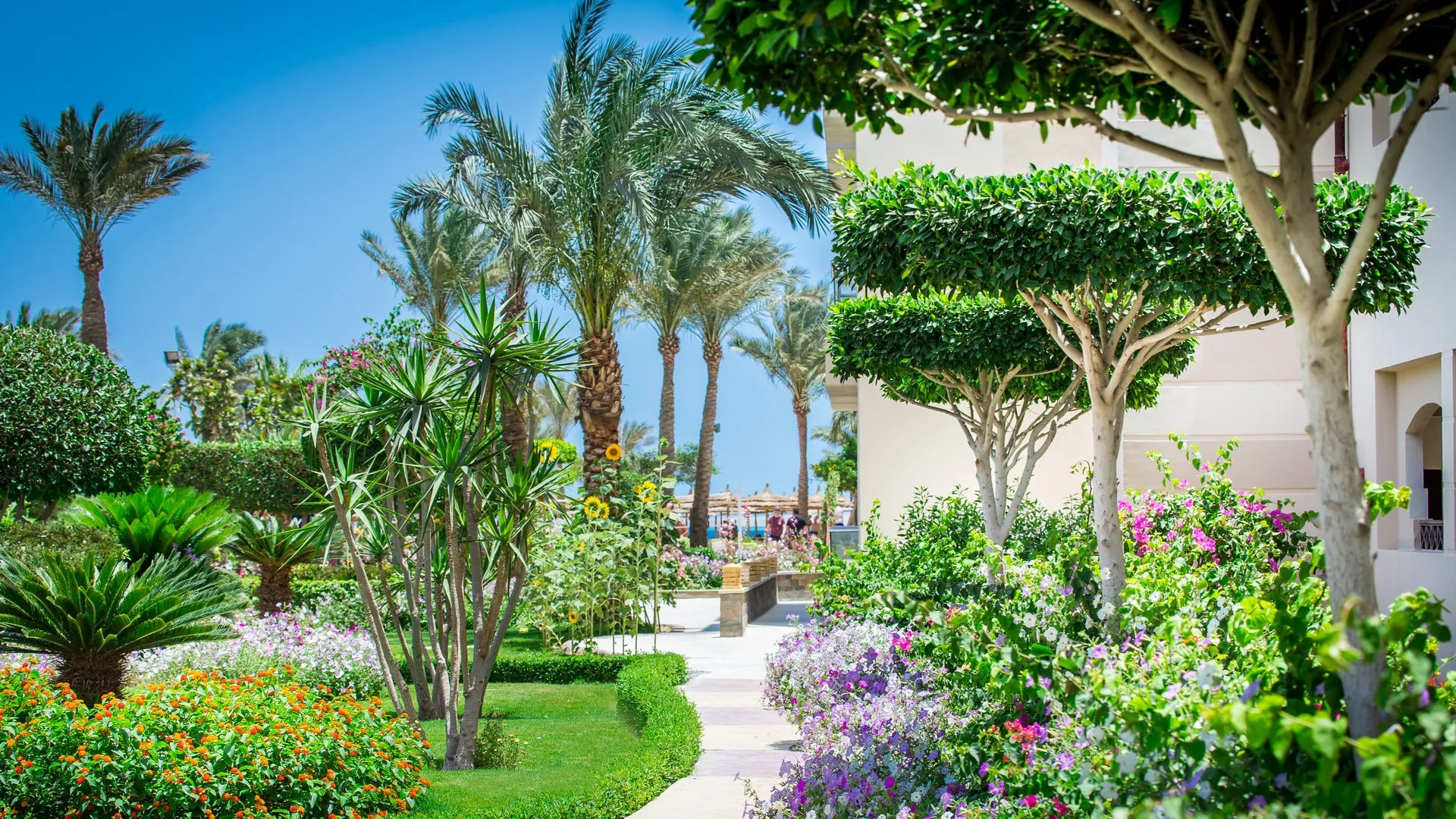 Viešbutis „Seagull Beach Resort & Club“ (Hurgada, Egiptas)